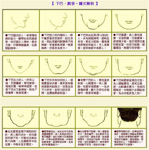 下巴長面相|面相分析下巴长的人